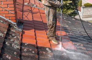 roof cleaning